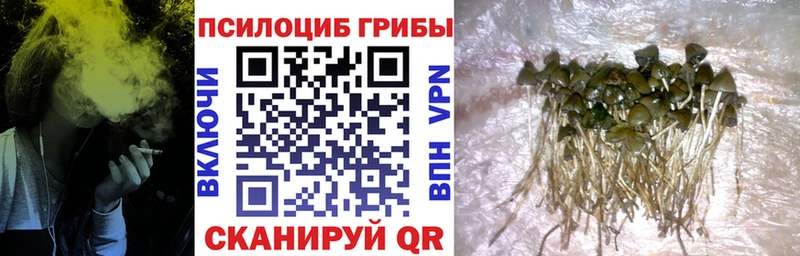 Галлюциногенные грибы мухоморы  как найти наркотики  маркетплейс Telegram  Ноябрьск 